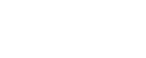 vikinglogob